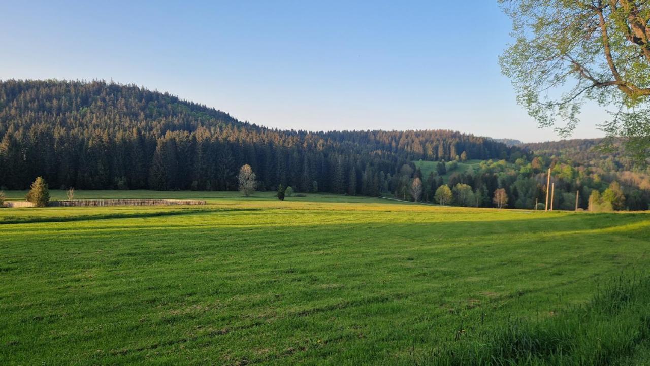Two Apartaments Almberg - Mitterdorf-ميتيرفيرميانسرويت المظهر الخارجي الصورة