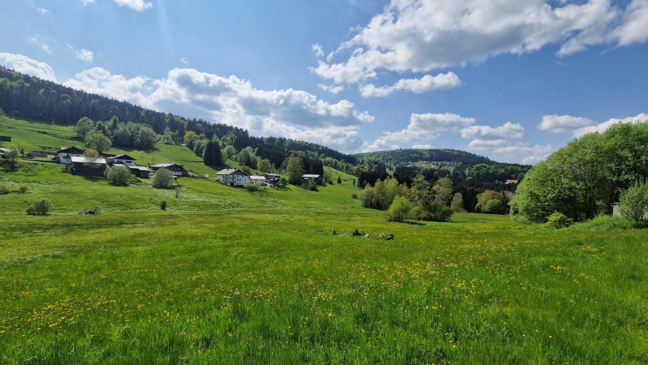 Two Apartaments Almberg - Mitterdorf-ميتيرفيرميانسرويت المظهر الخارجي الصورة