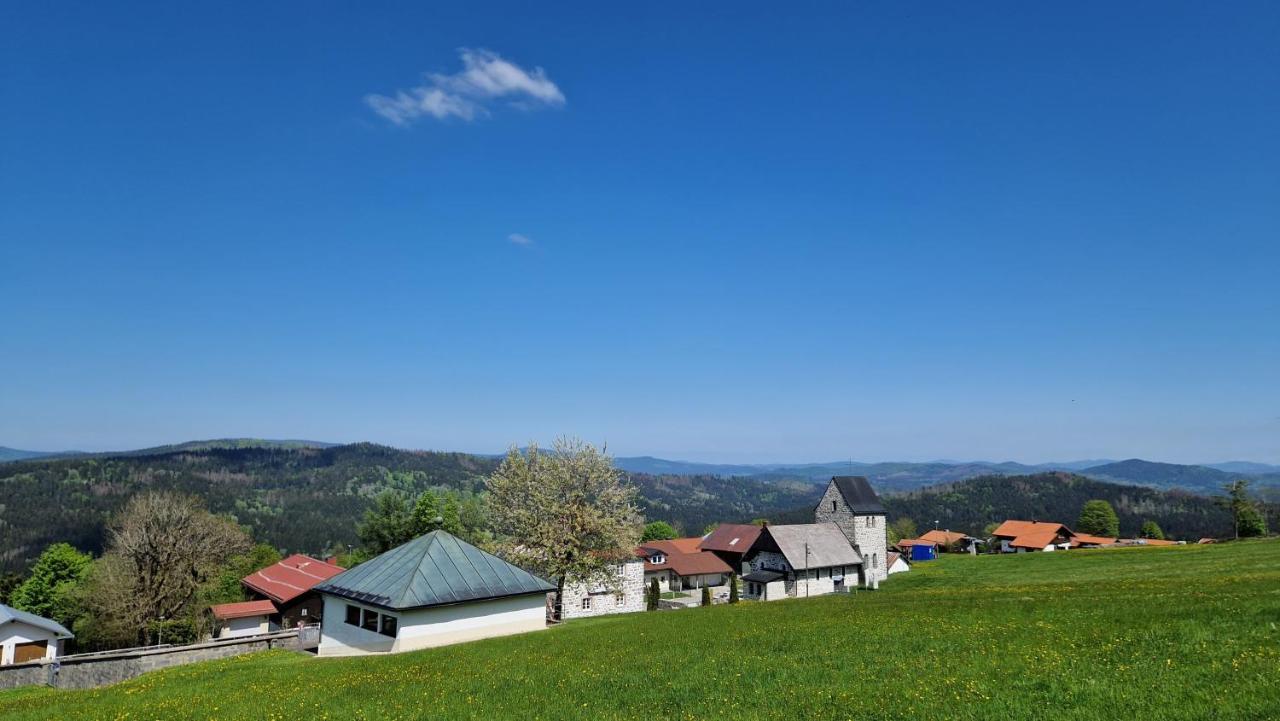 Two Apartaments Almberg - Mitterdorf-ميتيرفيرميانسرويت المظهر الخارجي الصورة